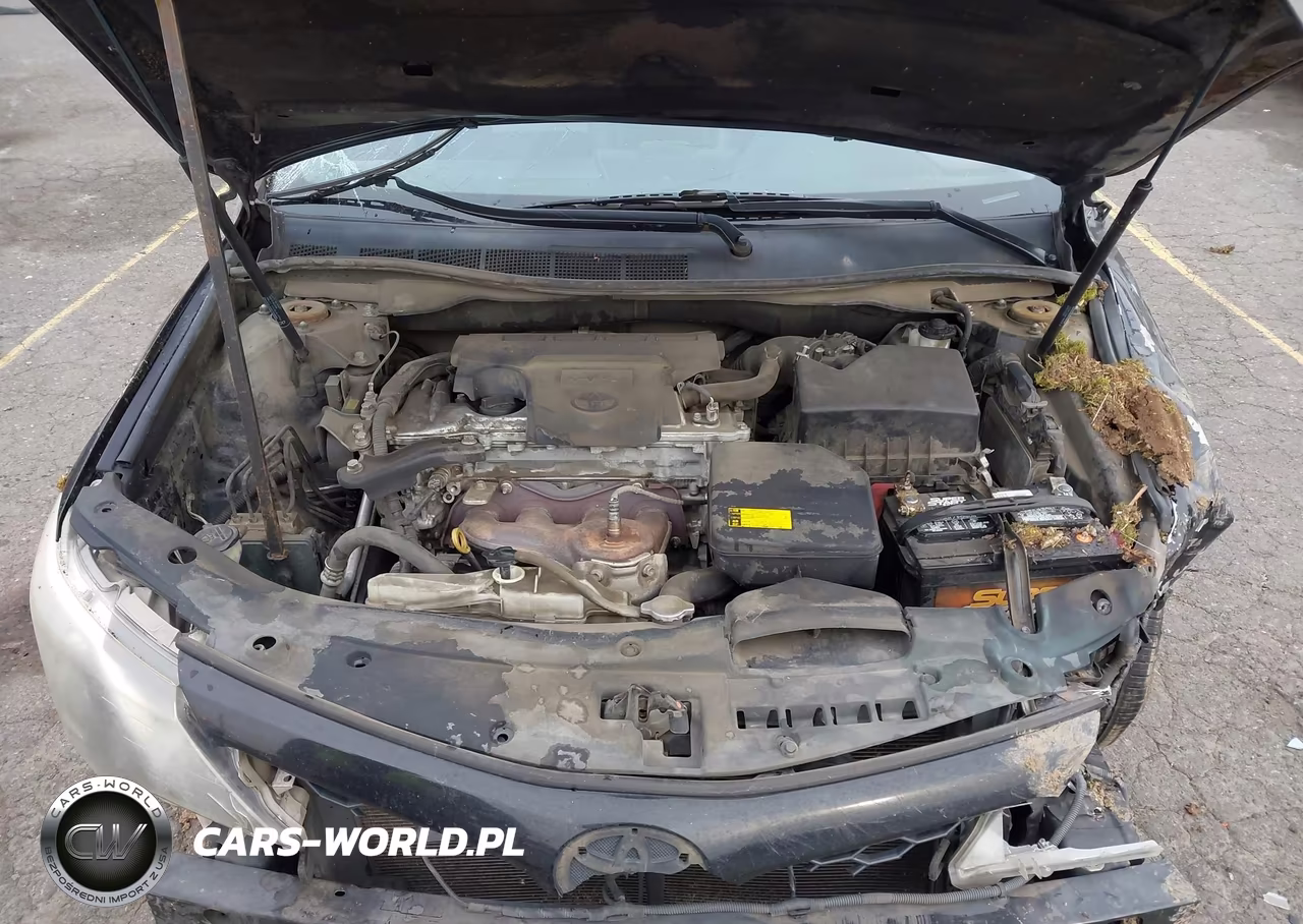 2013 Toyota Camry Se VIN:4T1BF1FK5DU264332 - 10