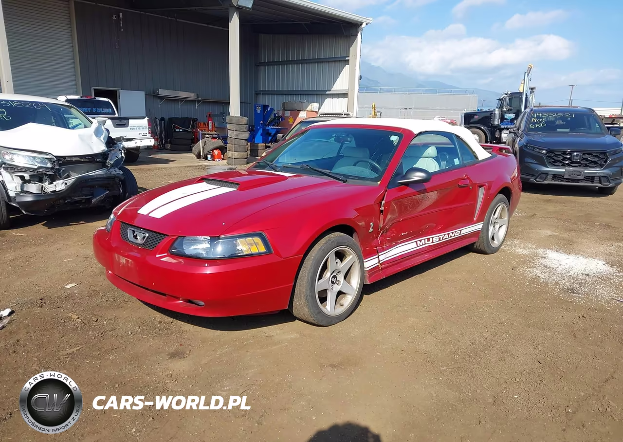 2003 Ford Mustang VIN:1FAFP444X3F418647 - 2