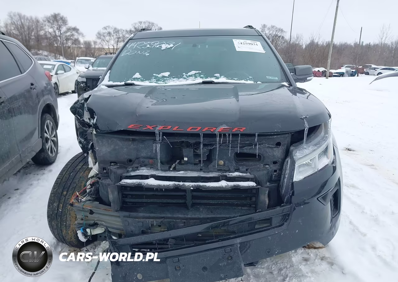 2019 Ford Explorer Xlt VIN:1FM5K8D8XKGA81934 - 12