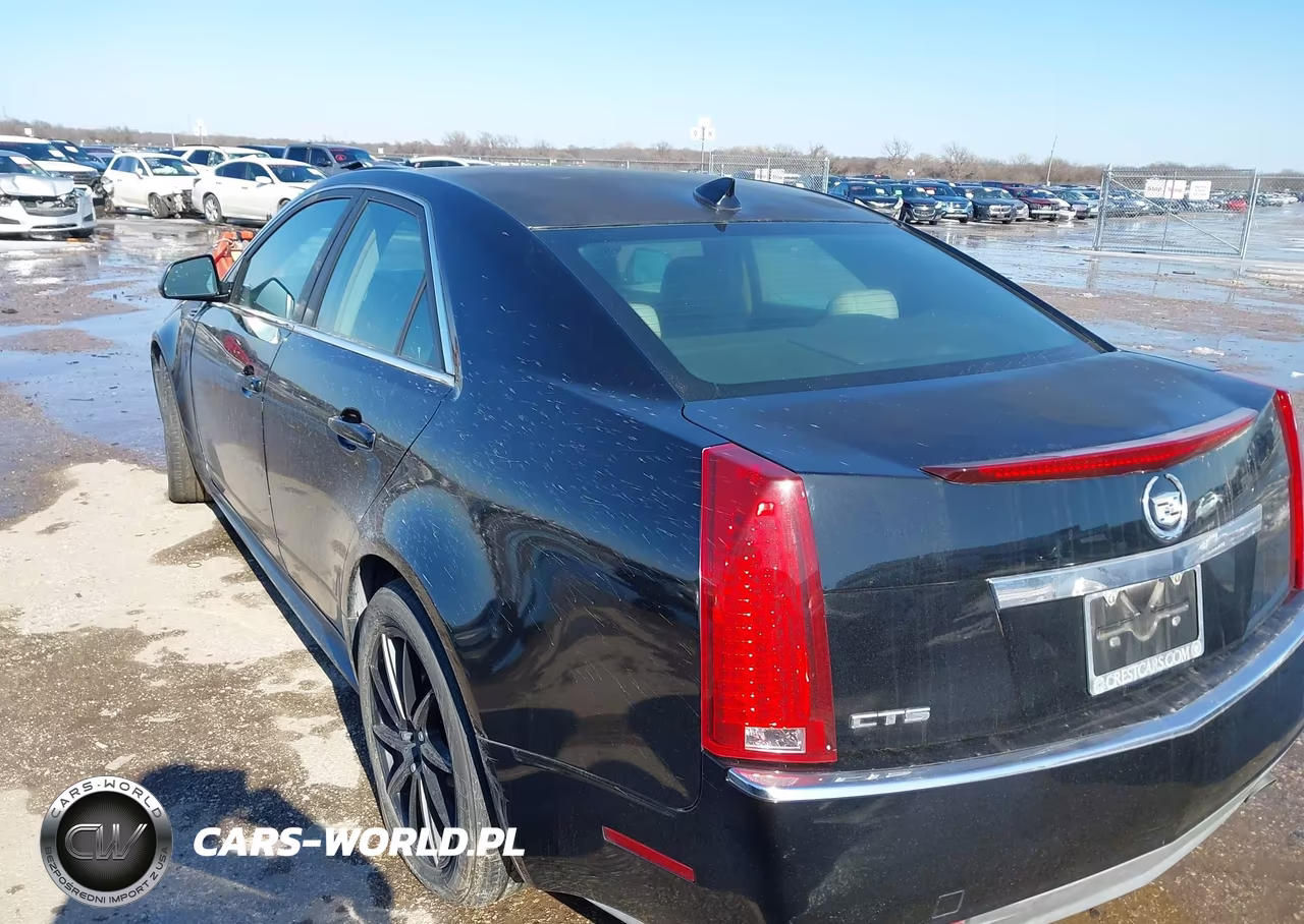 2010 Cadillac Cts Luxury VIN:1G6DE5EG8A0120199 - 3