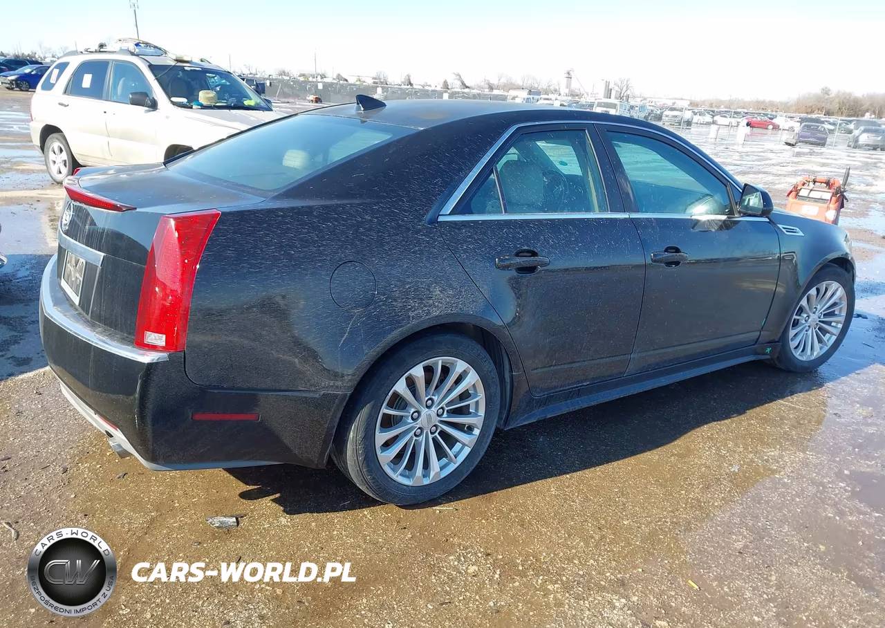2010 Cadillac Cts Luxury VIN:1G6DE5EG8A0120199 - 4