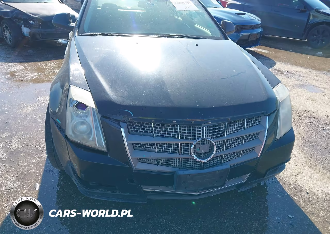 2010 Cadillac Cts Luxury VIN:1G6DE5EG8A0120199 - 6