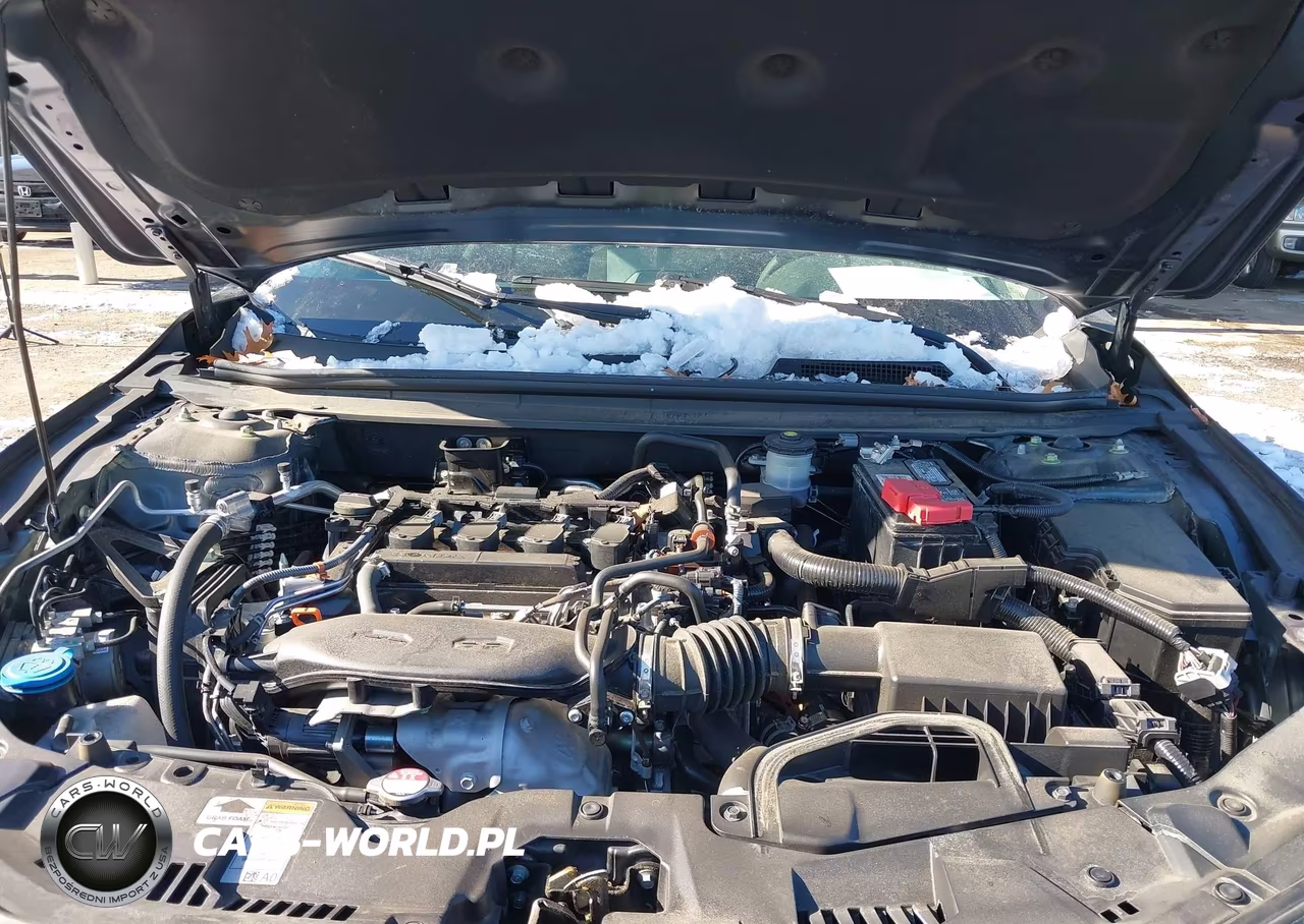 2024 Honda Accord Ex VIN:1HGCY1F33RA050462 - 10