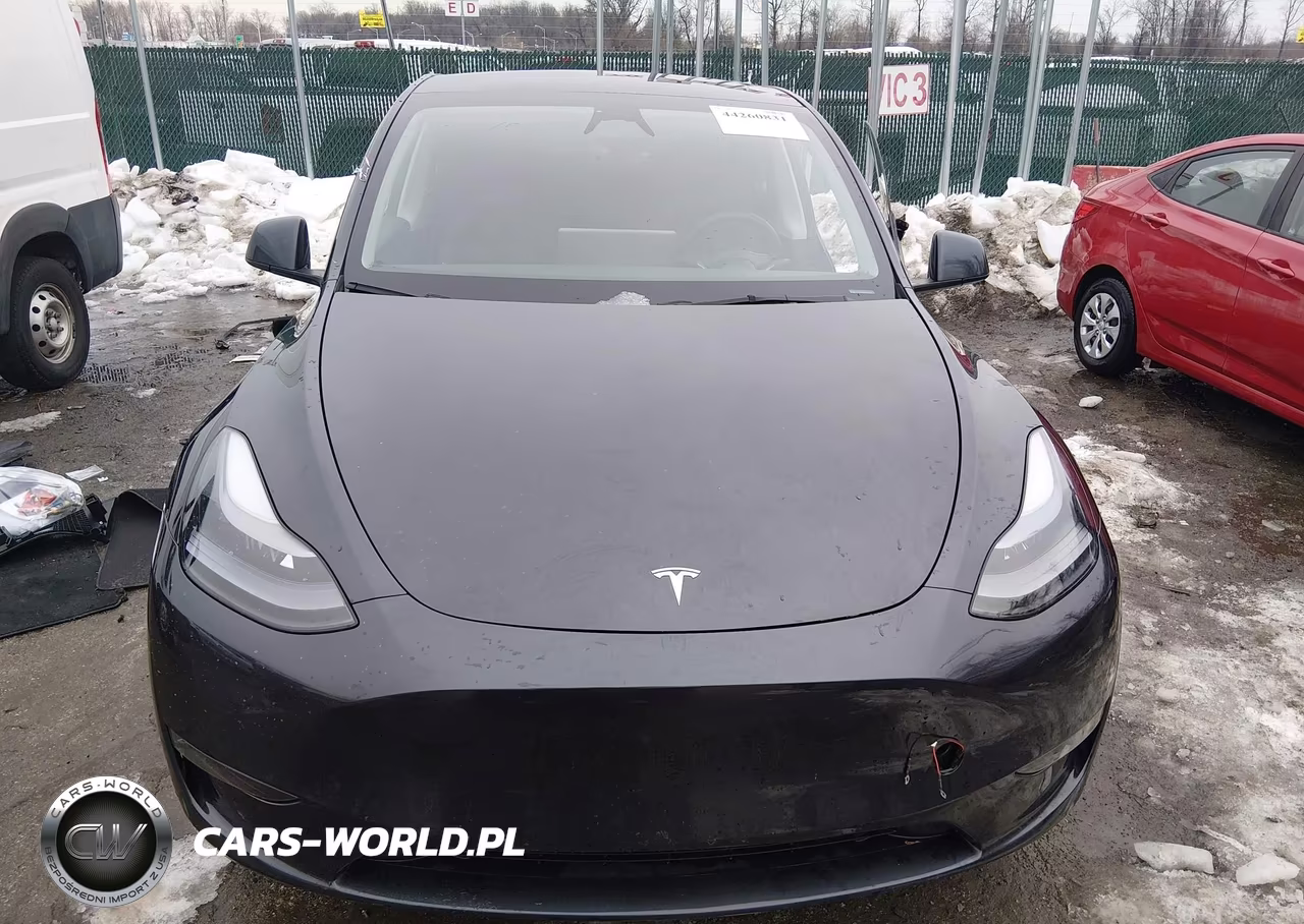 2025 Tesla Model Y Long Range Dual Motor All-Wheel Drive VIN:7SAYGDEE2SF304951 - 12