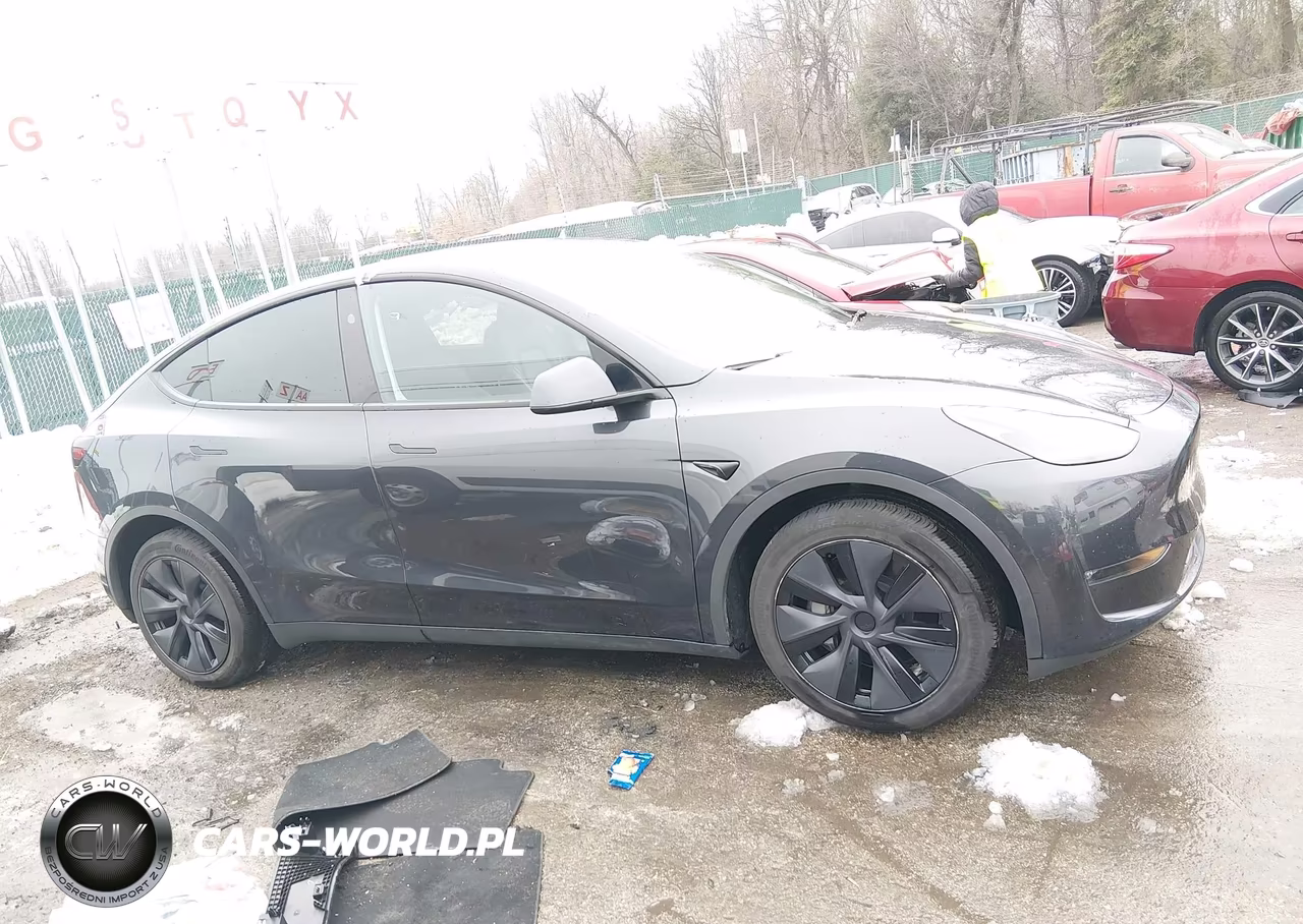 2025 Tesla Model Y Long Range Dual Motor All-Wheel Drive VIN:7SAYGDEE2SF304951 - 13