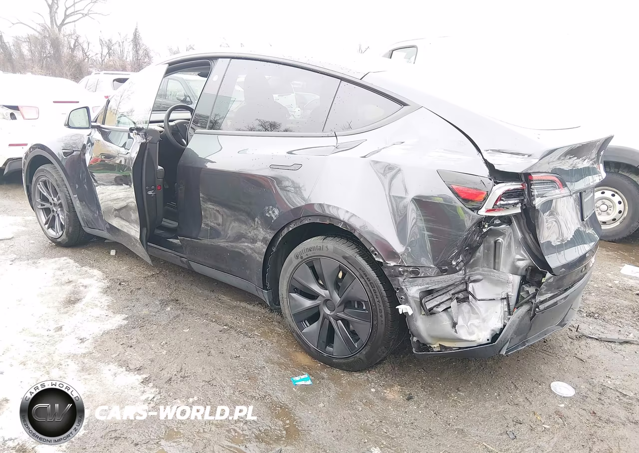 2025 Tesla Model Y Long Range Dual Motor All-Wheel Drive VIN:7SAYGDEE2SF304951 - 3
