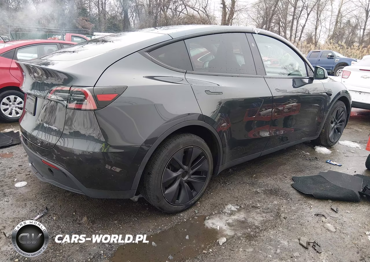 2025 Tesla Model Y Long Range Dual Motor All-Wheel Drive VIN:7SAYGDEE2SF304951 - 4