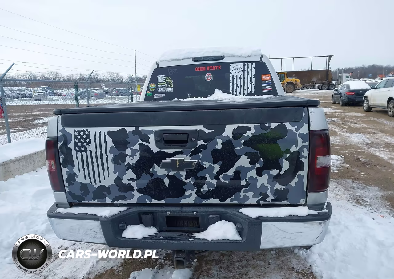 2010 Chevrolet Silverado 1500 Lt VIN:3GCRKSE3XAG212451 - 17