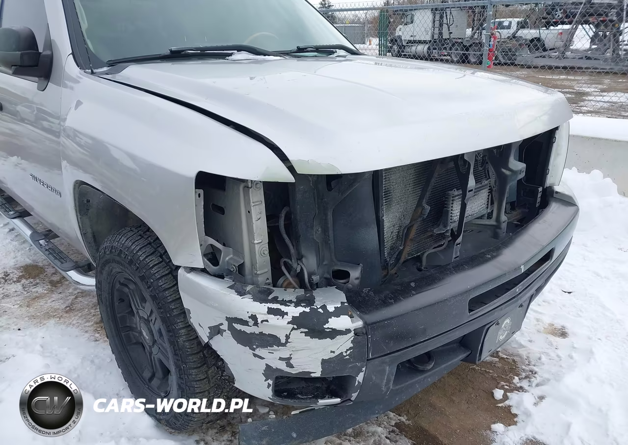 2010 Chevrolet Silverado 1500 Lt VIN:3GCRKSE3XAG212451 - 18