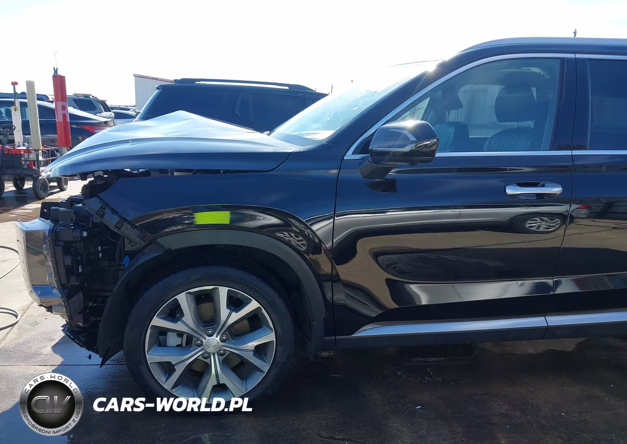 2023 Hyundai Palisade Limited VIN:KM8R54GE8PU525257 - 19