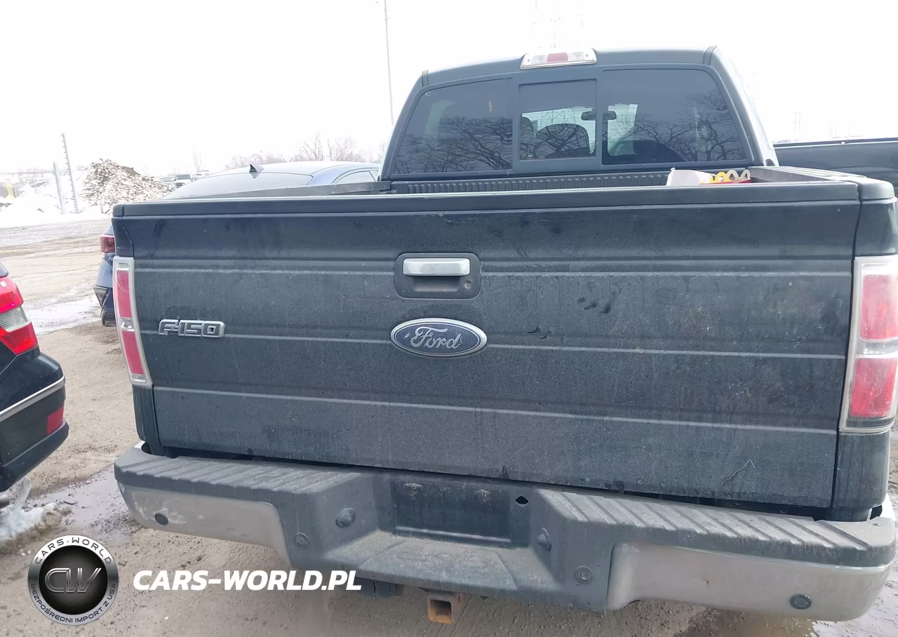 2011 Ford F-150 Xlt VIN:1FTFW1CT3BFA58978 - 16