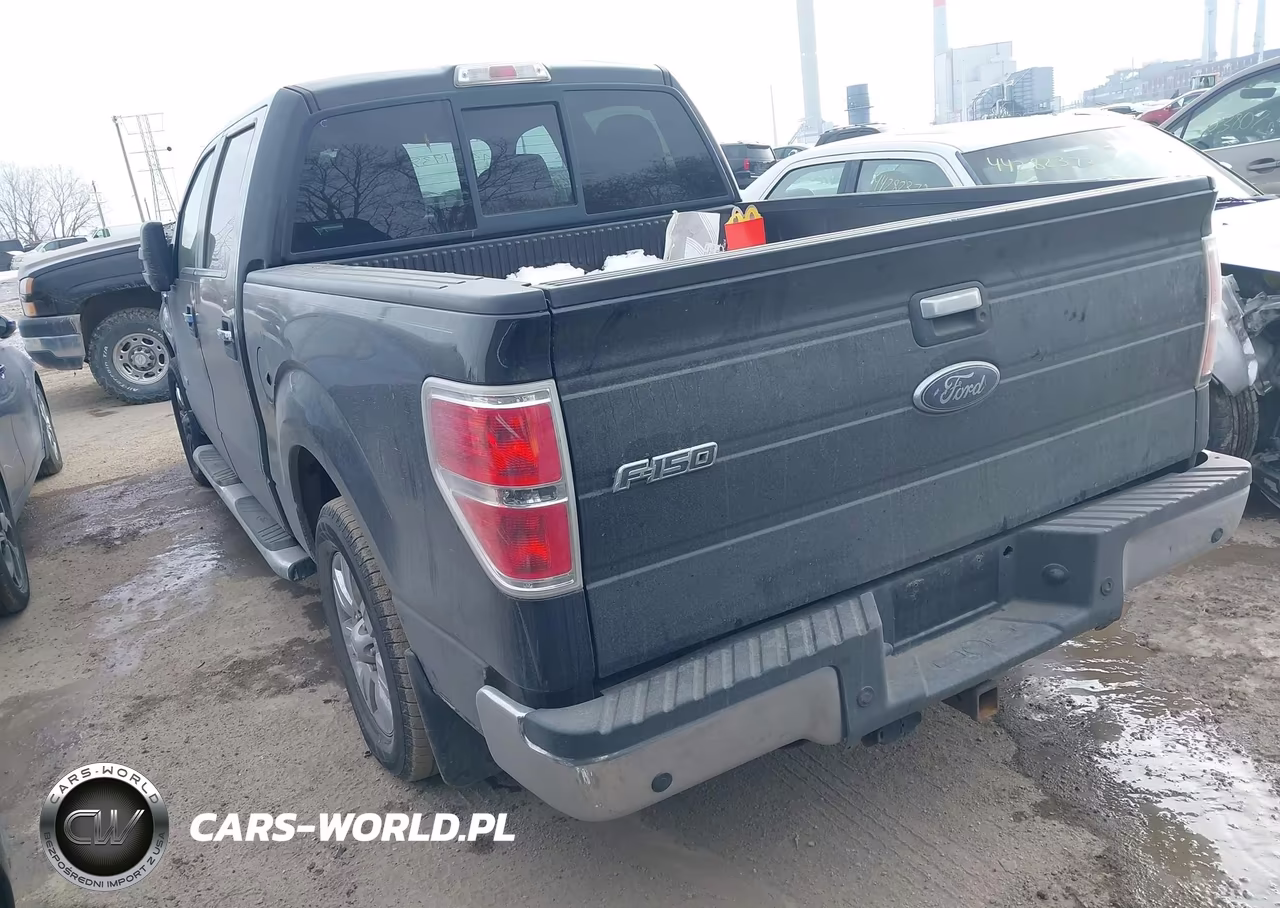2011 Ford F-150 Xlt VIN:1FTFW1CT3BFA58978 - 3