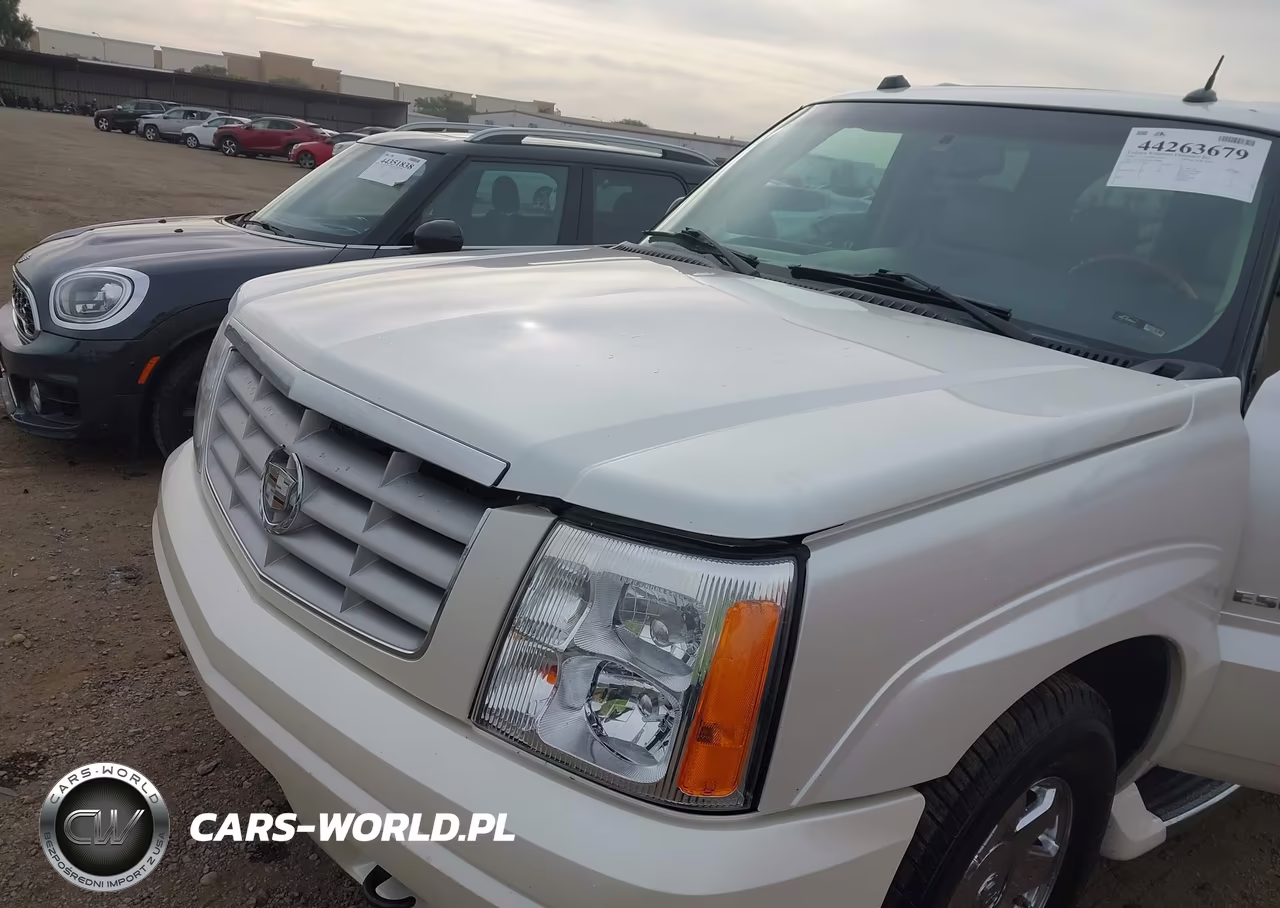 2004 Cadillac Escalade Esv Standard VIN:3GYFK66N54G258990 - 6