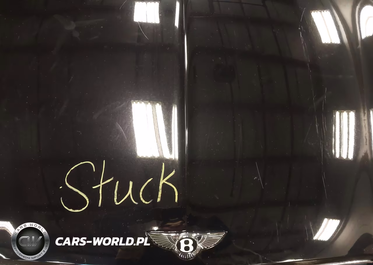 2020 Bentley Continental Gt V8-V8 First Edition VIN:SCBDG4ZG2LC076104 - 10
