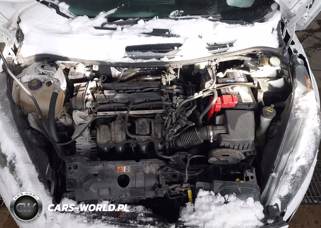 2016 Ford Fiesta Se VIN:3FADP4BJ9GM134108 - 10