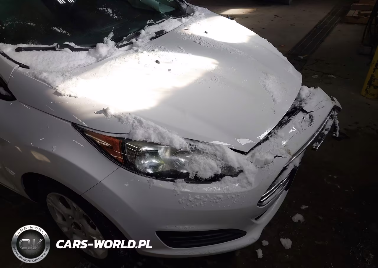 2016 Ford Fiesta Se VIN:3FADP4BJ9GM134108 - 13