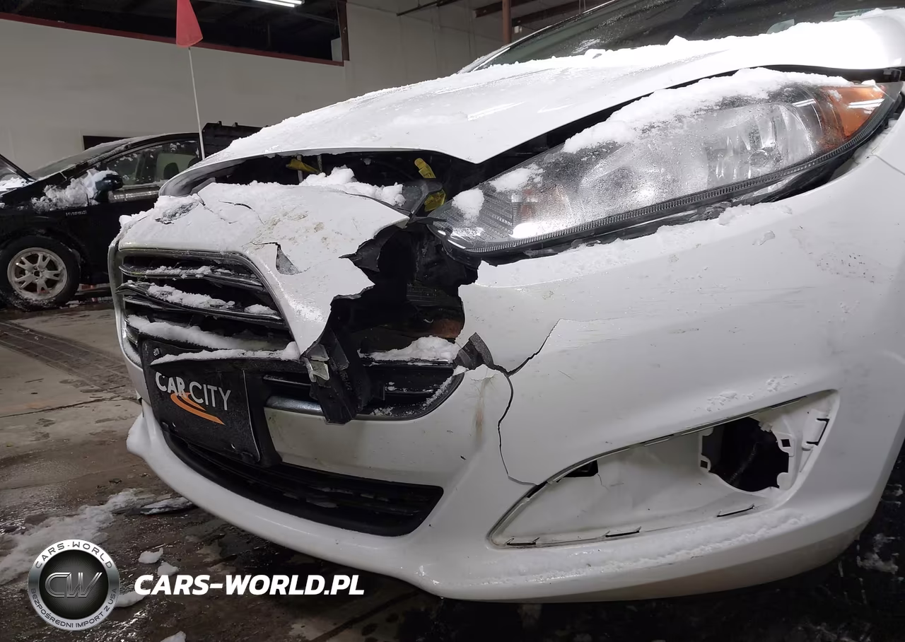 2016 Ford Fiesta Se VIN:3FADP4BJ9GM134108 - 14