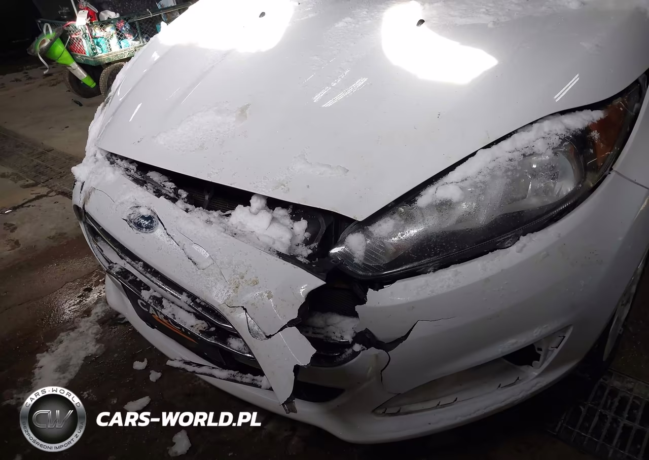 2016 Ford Fiesta Se VIN:3FADP4BJ9GM134108 - 6