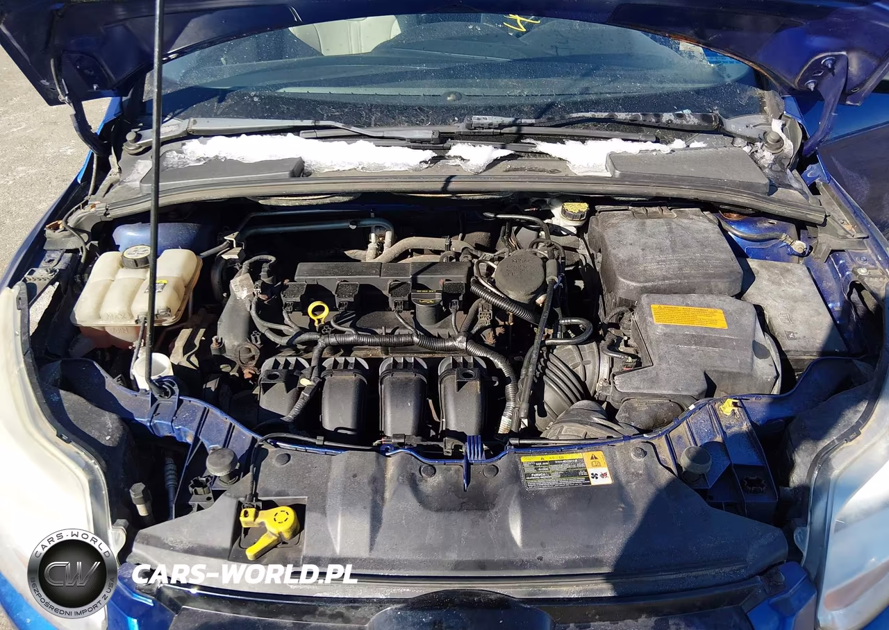 2012 Ford Focus Sel VIN:1FAHP3M2XCL378248 - 10