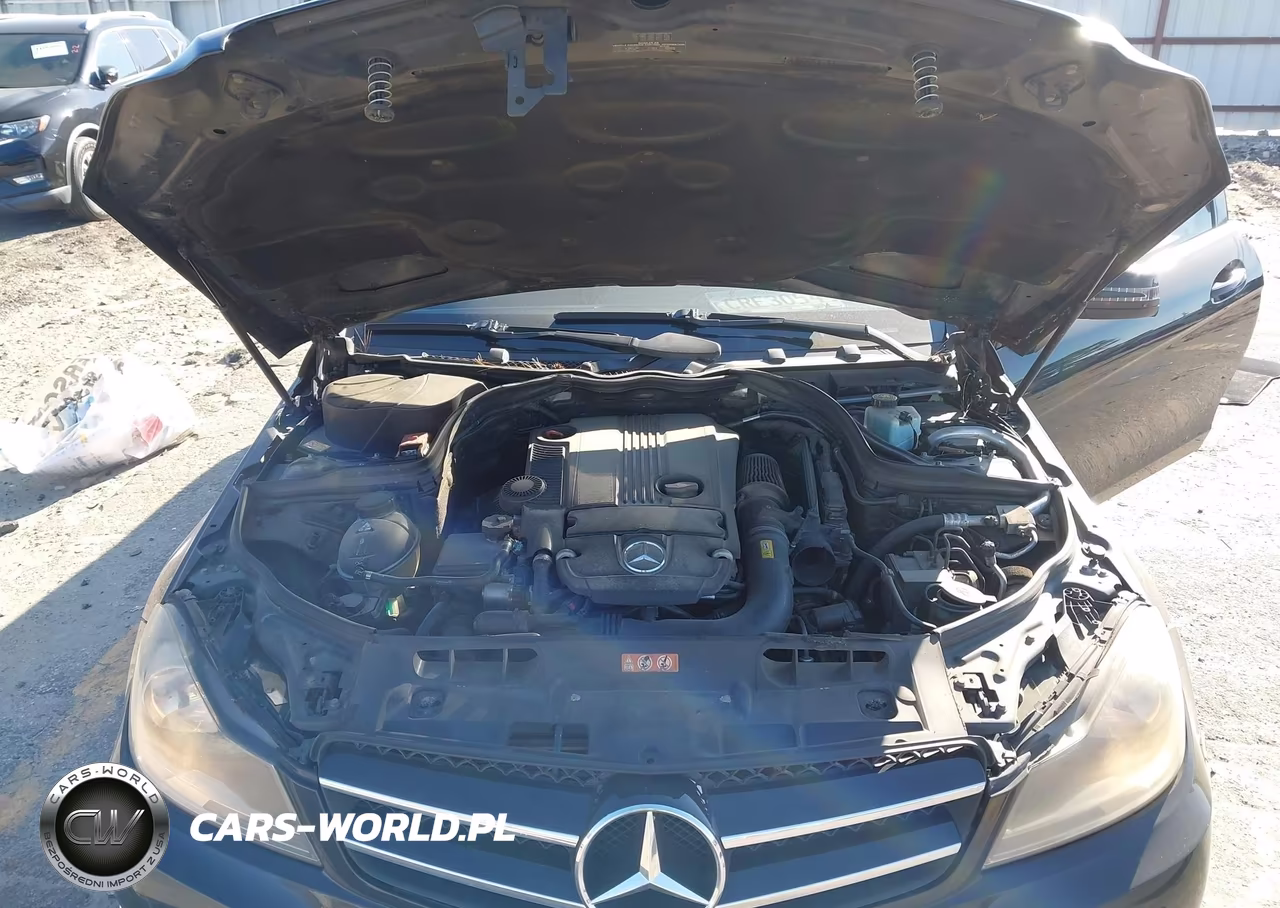 2013 Mercedes-Benz C 250 VIN:WDDGJ4HB4DG038195 - 10