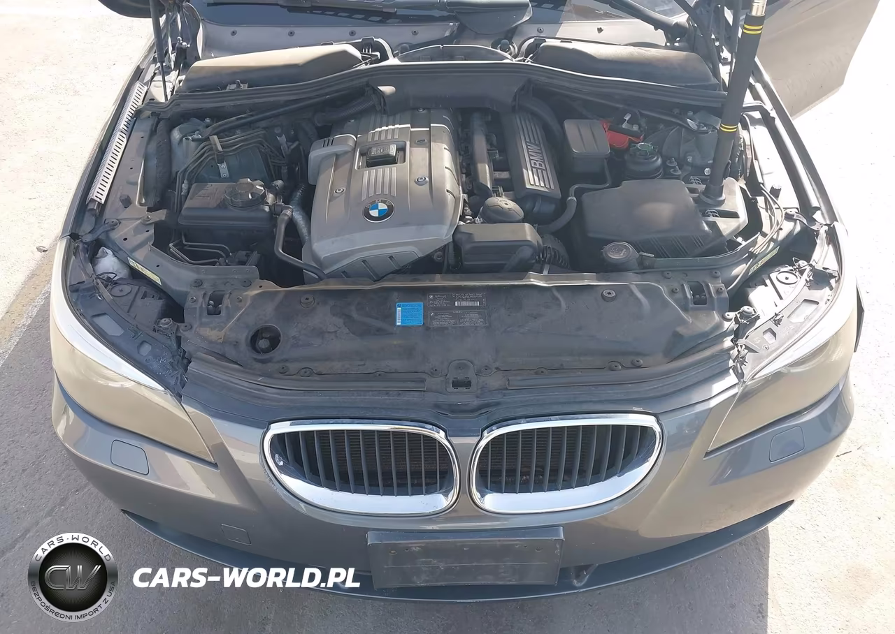 2006 BMW 530I VIN:WBANE73586CM35134 - 10