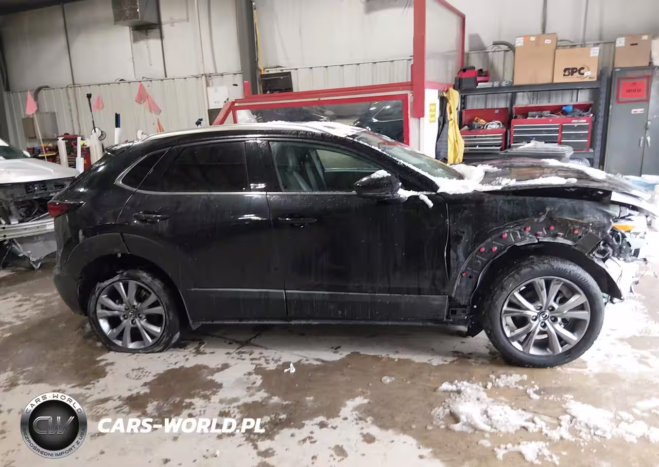 2022 Mazda Cx-30 Premium VIN:3MVDMBDL7NM447112 - 13