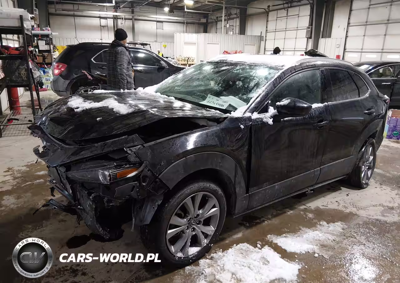 2022 Mazda Cx-30 Premium VIN:3MVDMBDL7NM447112 - 2