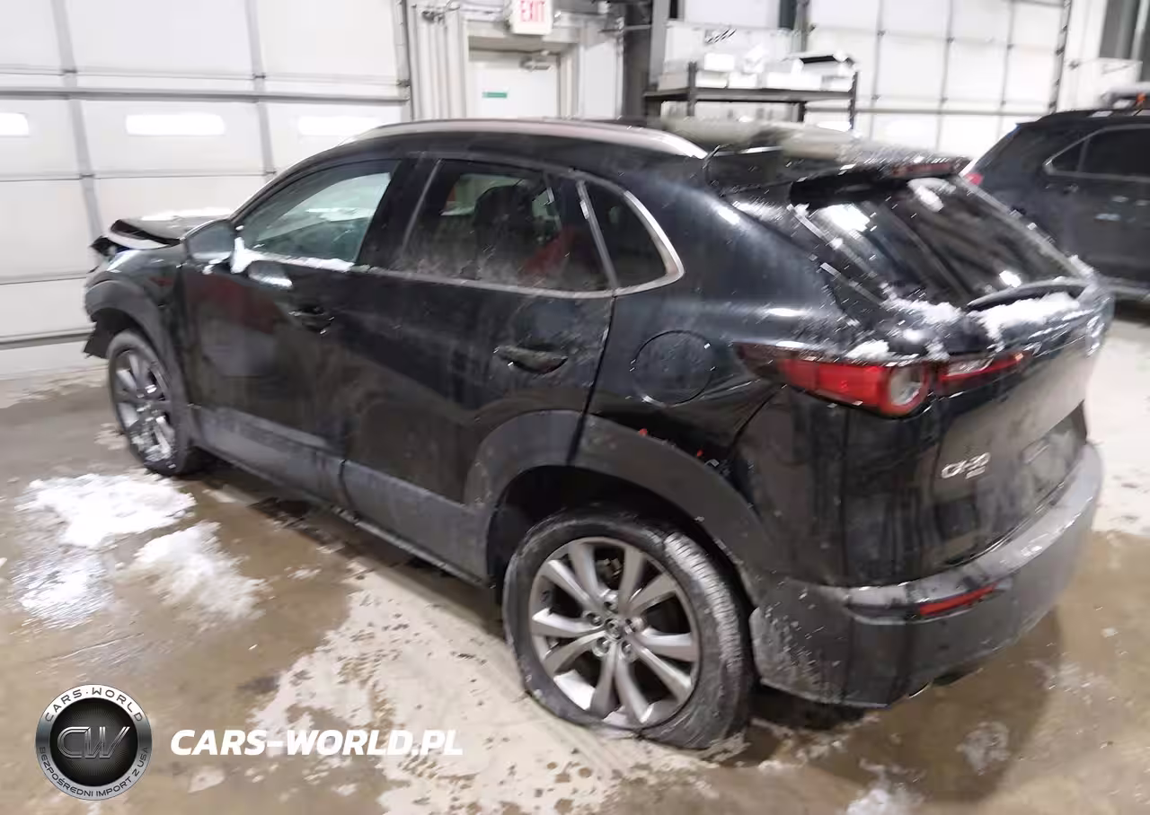 2022 Mazda Cx-30 Premium VIN:3MVDMBDL7NM447112 - 3