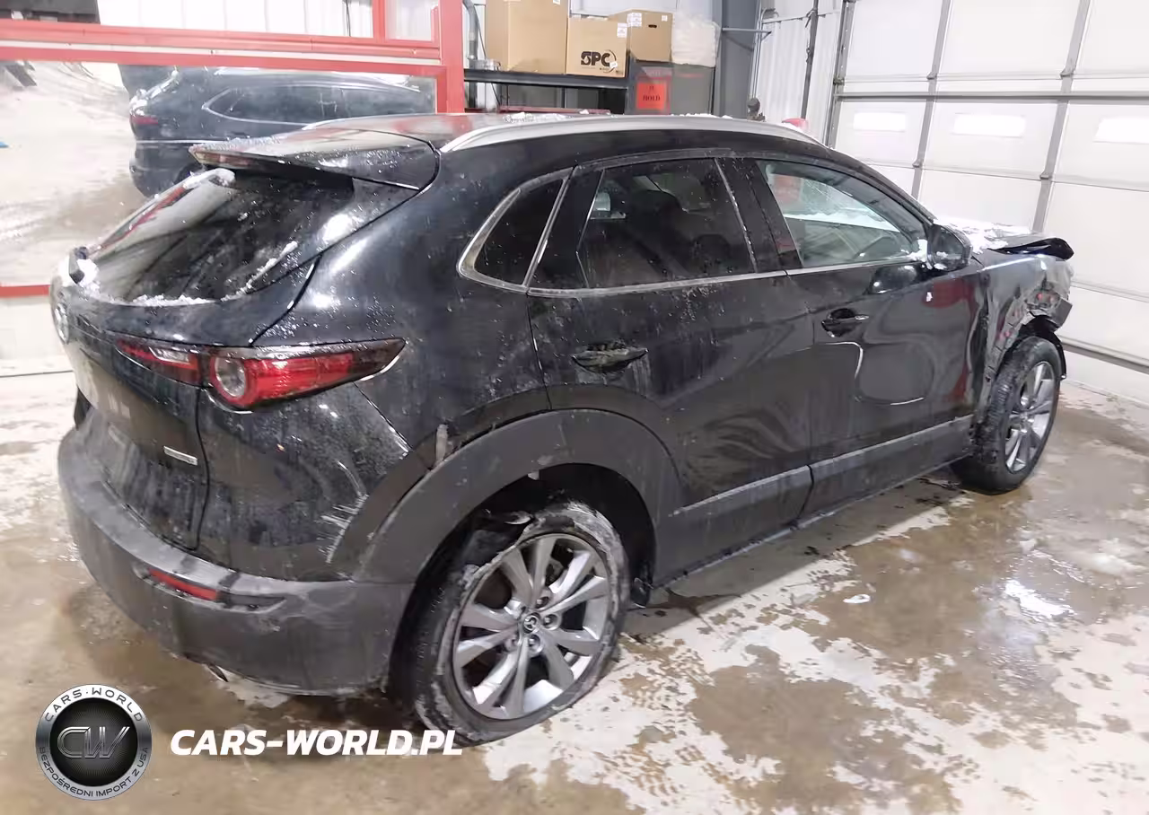 2022 Mazda Cx-30 Premium VIN:3MVDMBDL7NM447112 - 4
