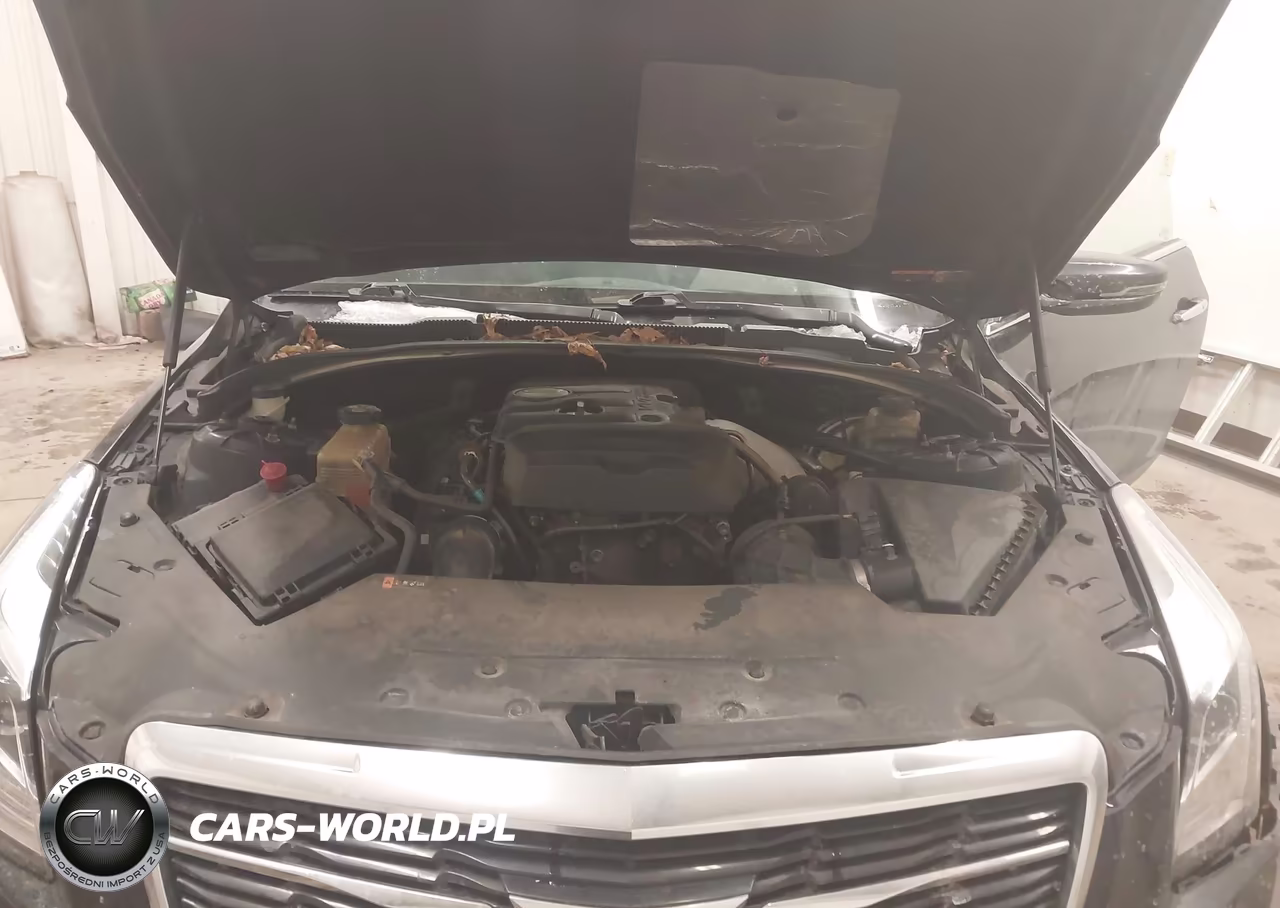 2016 Cadillac Ats Luxury Collection VIN:1G6AH1RX9G0156313 - 10