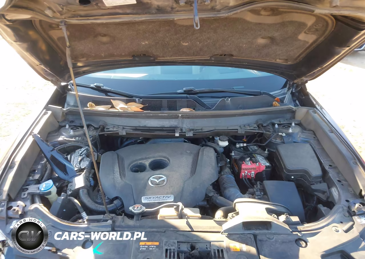 2019 Mazda Cx-9 Grand Touring VIN:JM3TCADY1K0322246 - 10