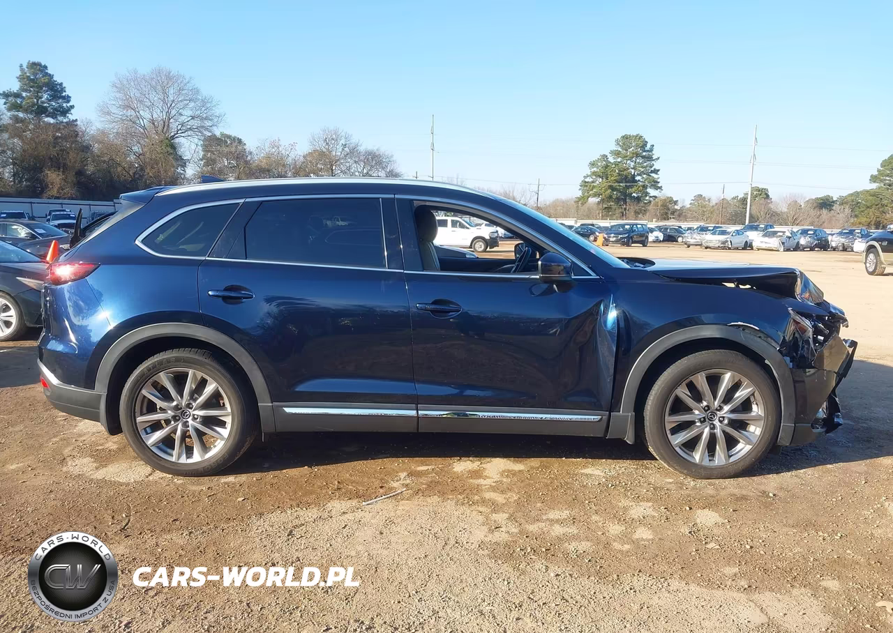 2019 Mazda Cx-9 Grand Touring VIN:JM3TCADY1K0322246 - 13