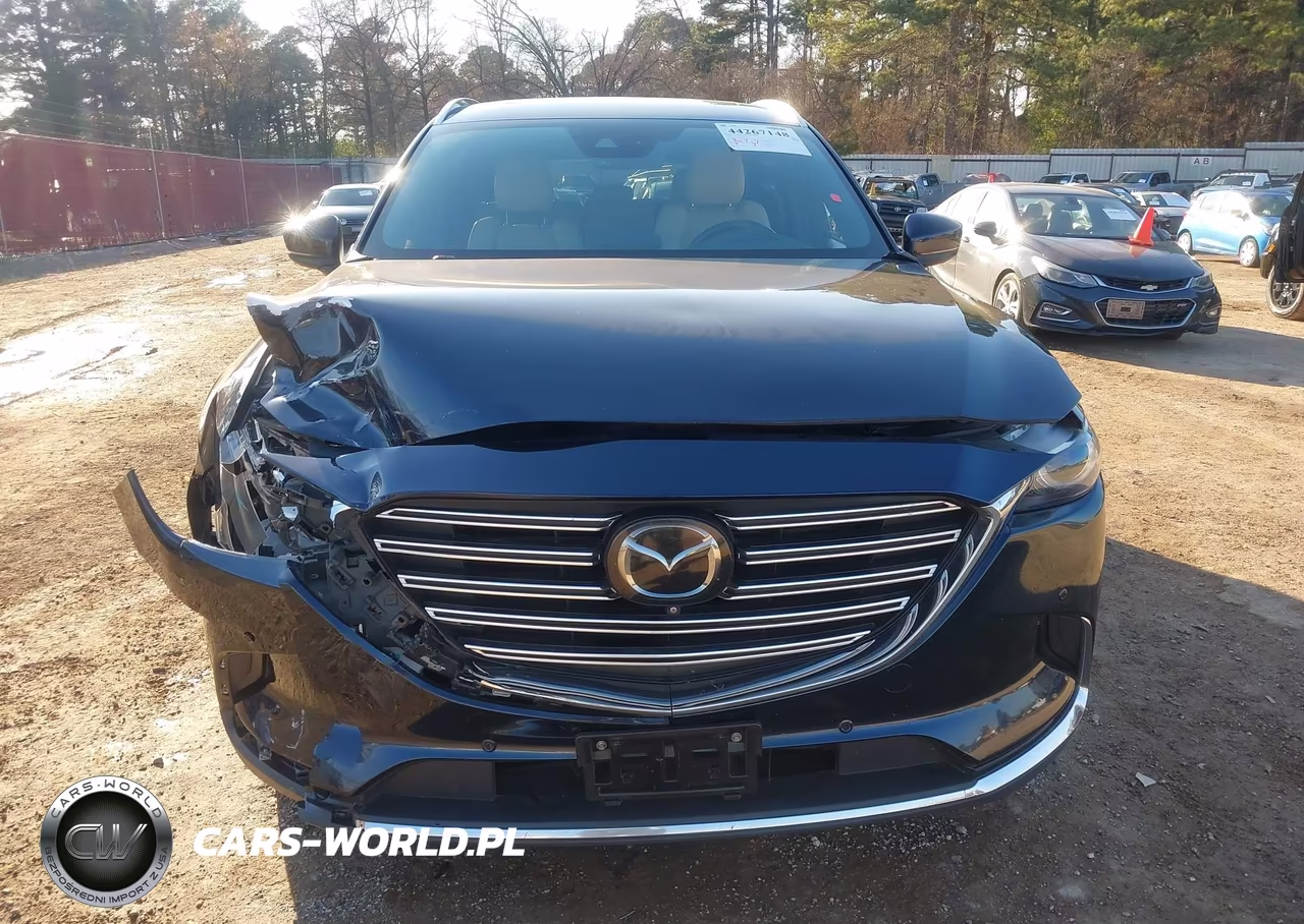2019 Mazda Cx-9 Grand Touring VIN:JM3TCADY1K0322246 - 6