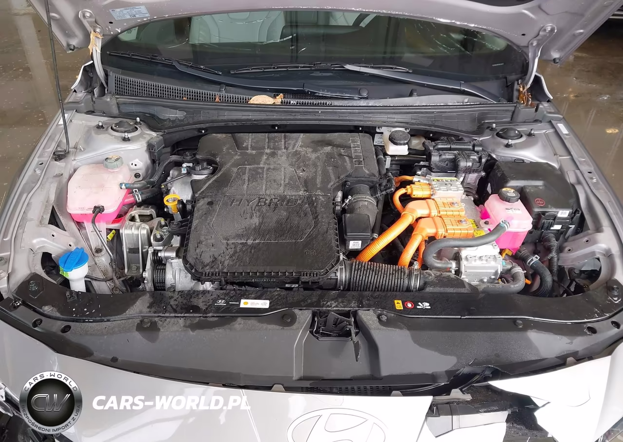2024 Hyundai Elantra Hybrid Limited VIN:KMHLN4DJ0RU104076 - 10