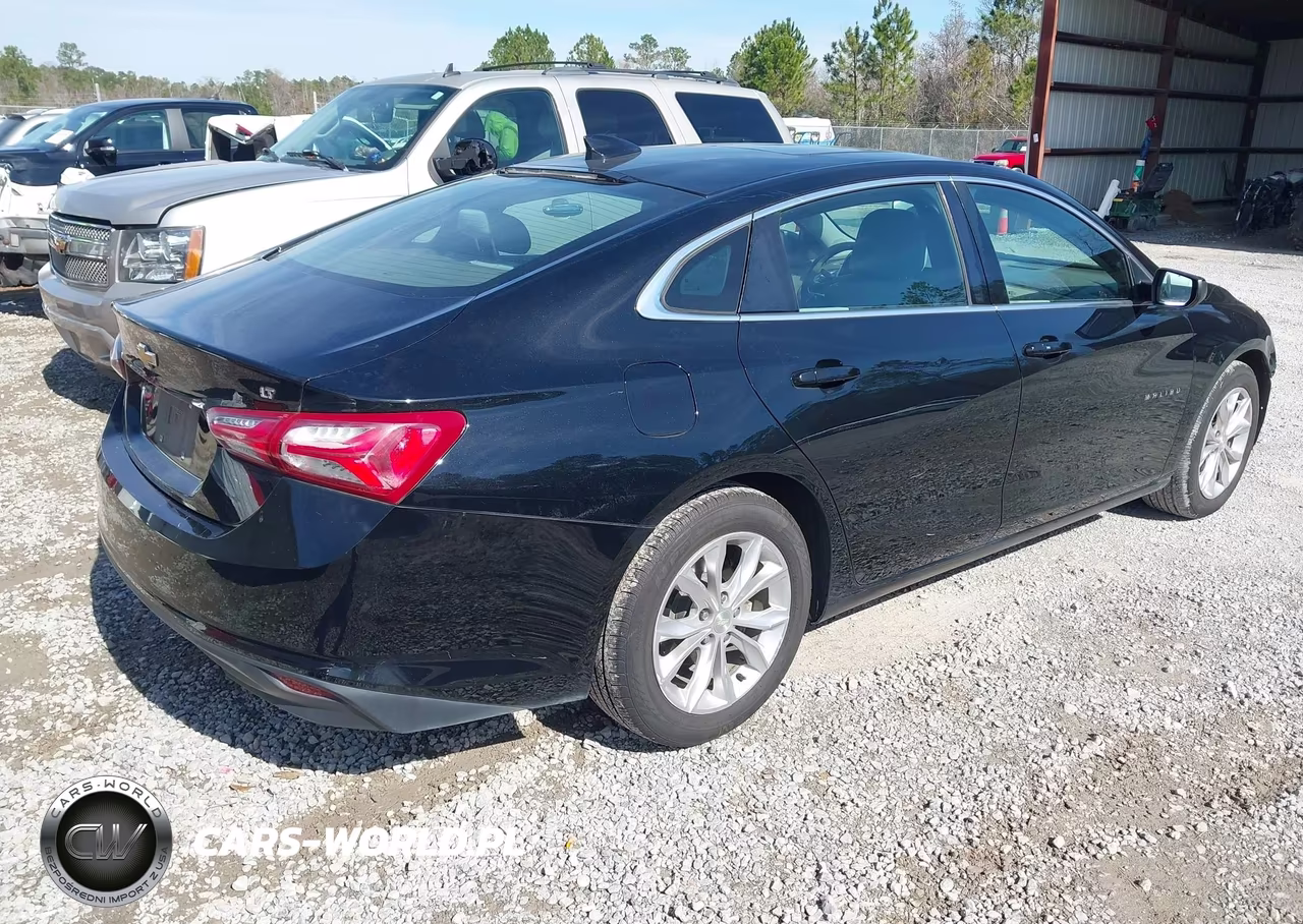 2019 Chevrolet Malibu Lt VIN:1G1ZD5ST3KF106676 - 4