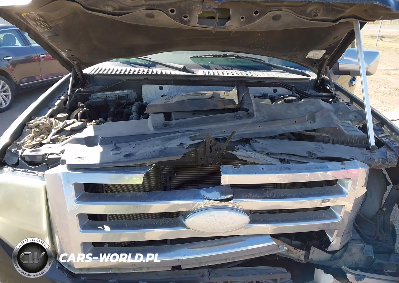 2007 Ford Expedition Eddie Bauer VIN:1FMFU17577LA91892 - 10