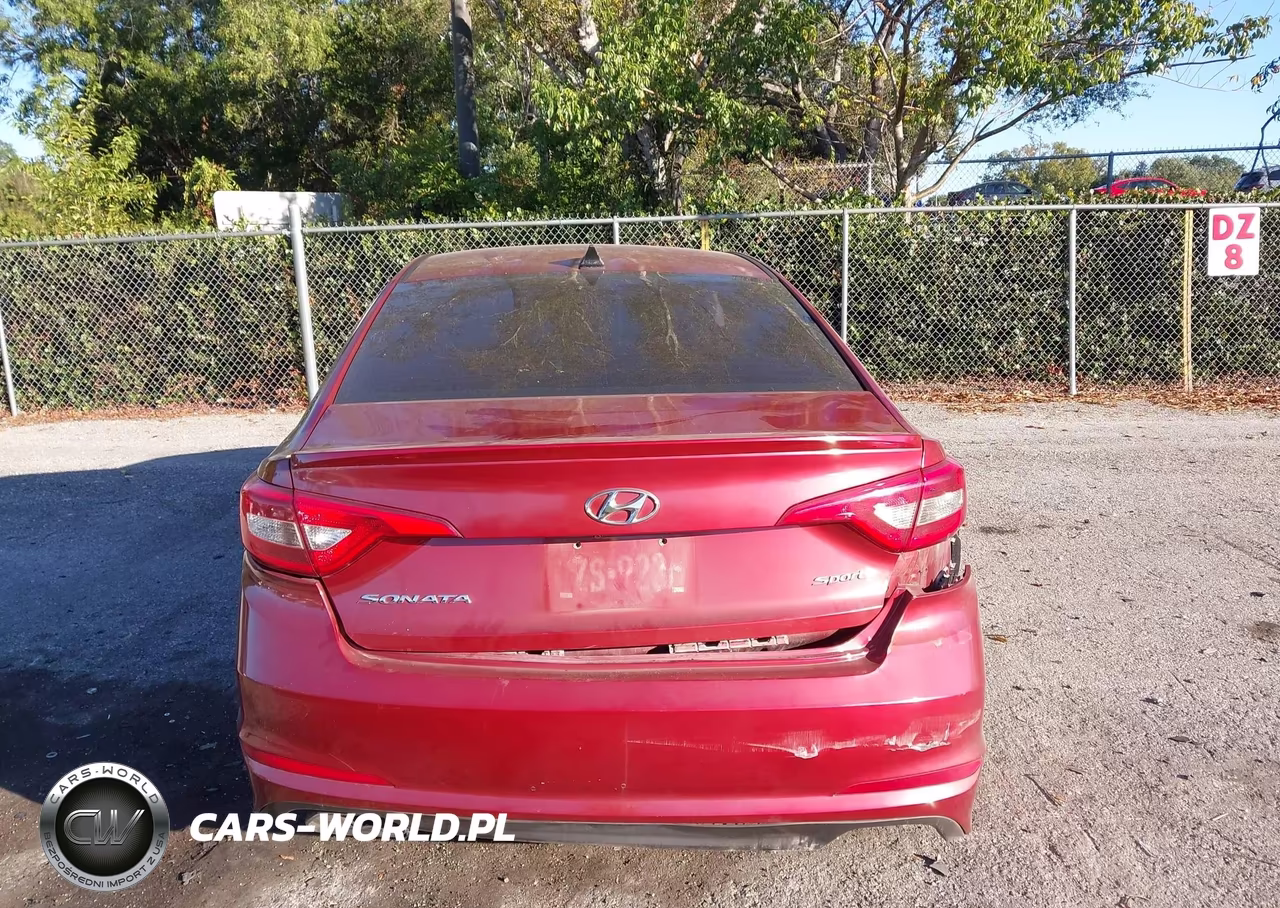 2016 Hyundai Sonata Sport VIN:5NPE34AF8GH269934 - 16