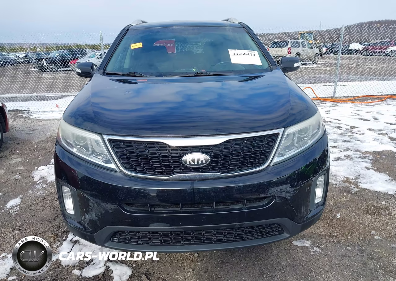 2014 Kia Sorento Lx VIN:5XYKT3A67EG494752 - 12