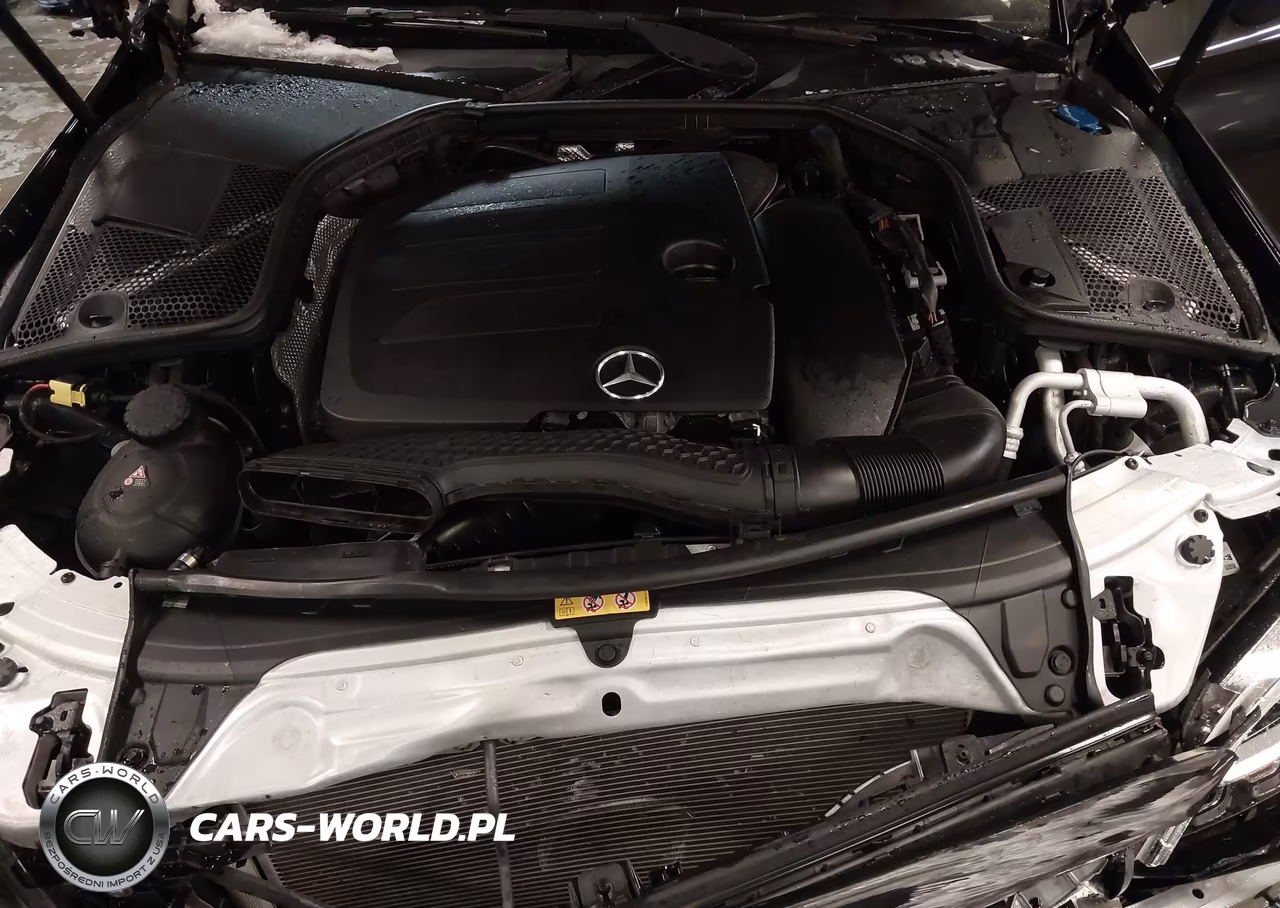 2019 Mercedes-Benz C 300 4Matic VIN:WDDWK8EB3KF770602 - 10