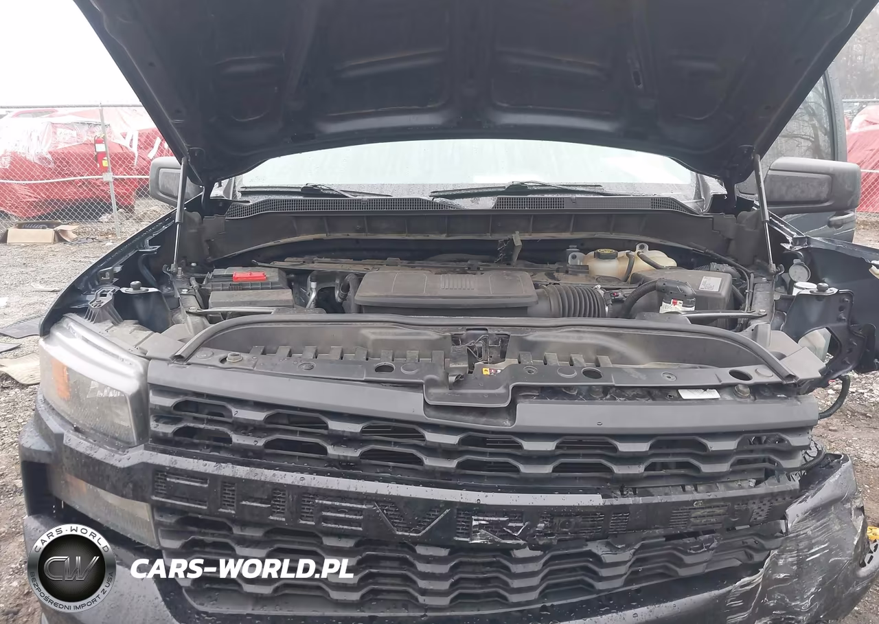 2020 Chevrolet Silverado 1500 4Wd Standard Bed Custom Trail Boss VIN:1GCPYCEF0LZ189562 - 10
