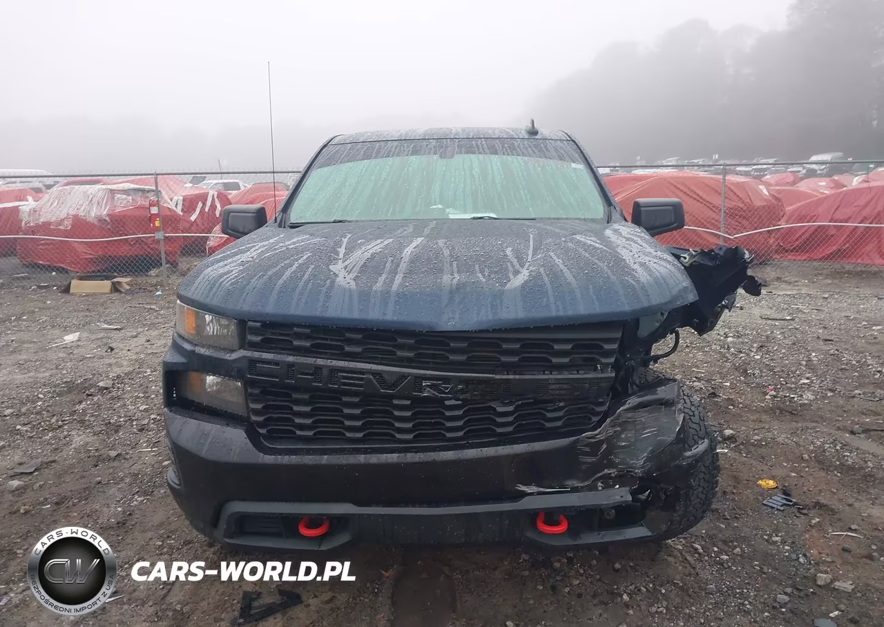 2020 Chevrolet Silverado 1500 4Wd Standard Bed Custom Trail Boss VIN:1GCPYCEF0LZ189562 - 12