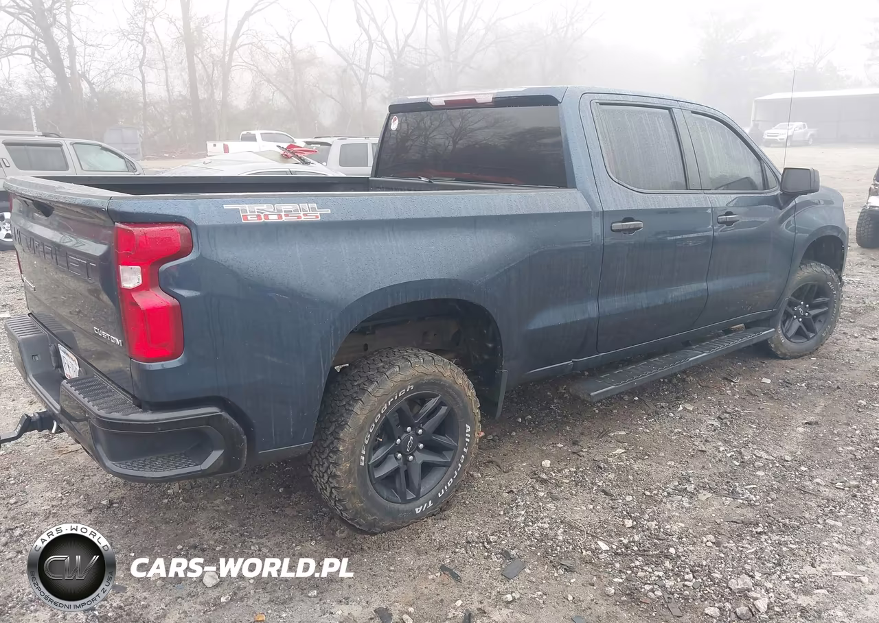 2020 Chevrolet Silverado 1500 4Wd Standard Bed Custom Trail Boss VIN:1GCPYCEF0LZ189562 - 4