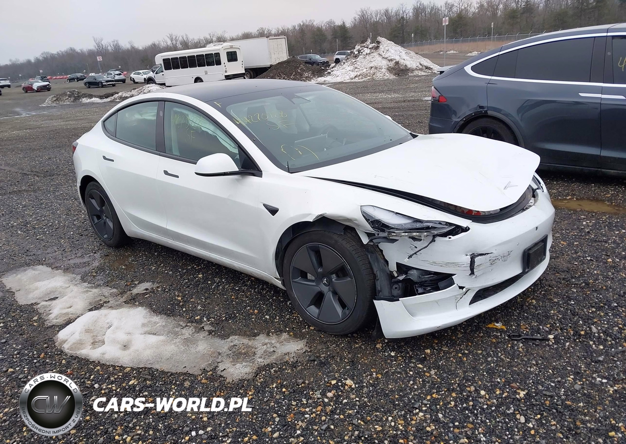 2023 Tesla Model 3 Rear-Wheel Drive
