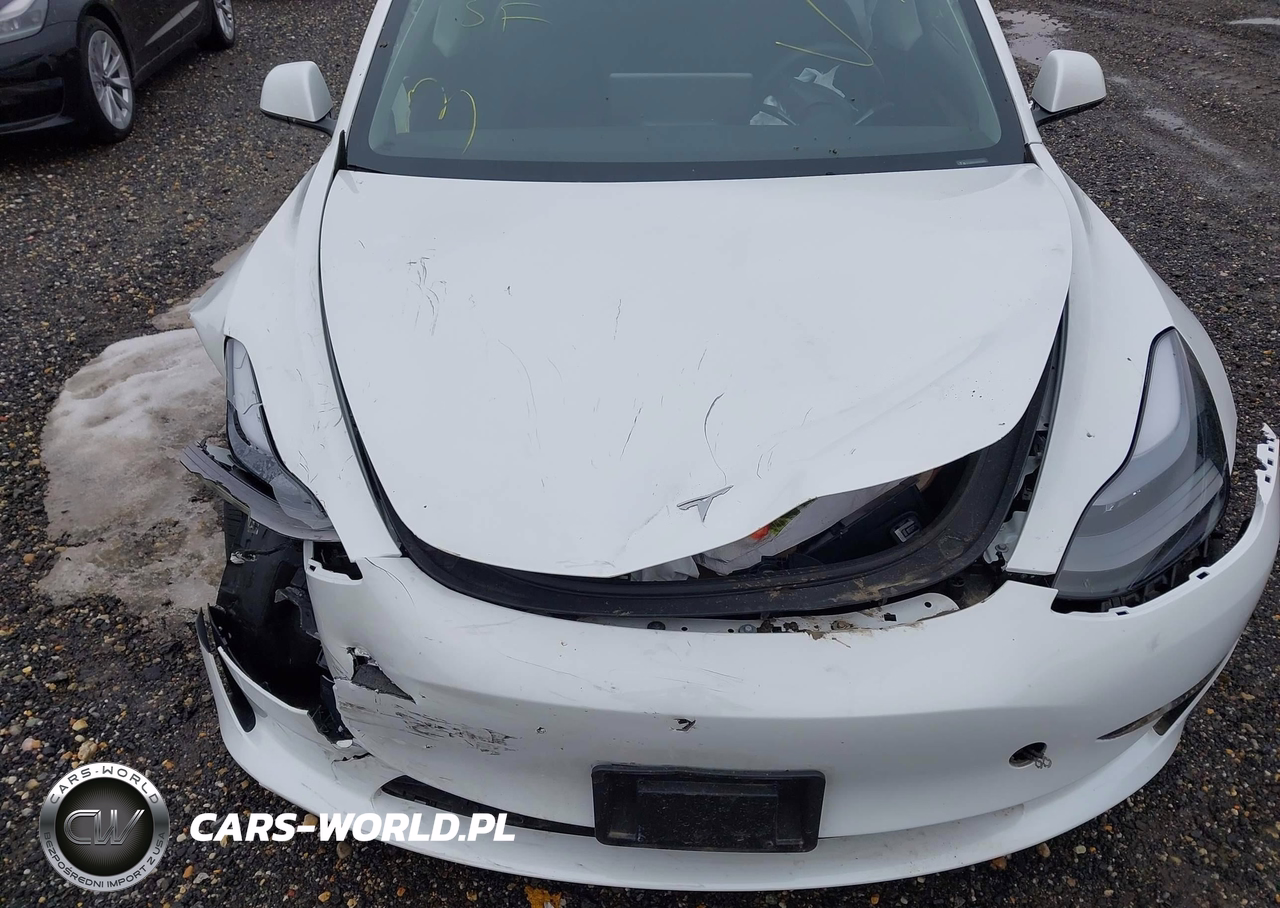 2023 Tesla Model 3 Rear-Wheel Drive VIN:5YJ3E1EAXPF672276 - 10