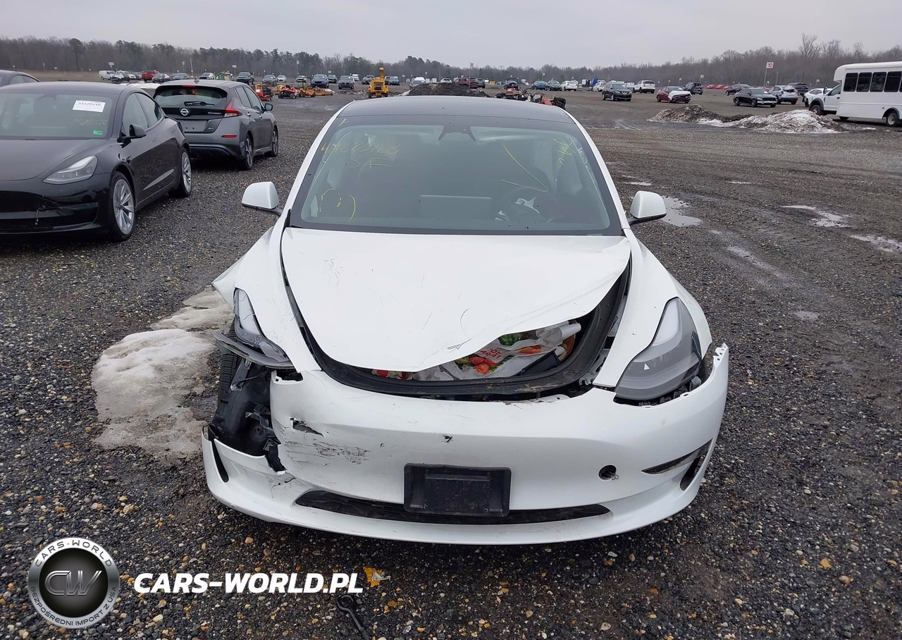 2023 Tesla Model 3 Rear-Wheel Drive VIN:5YJ3E1EAXPF672276 - 12