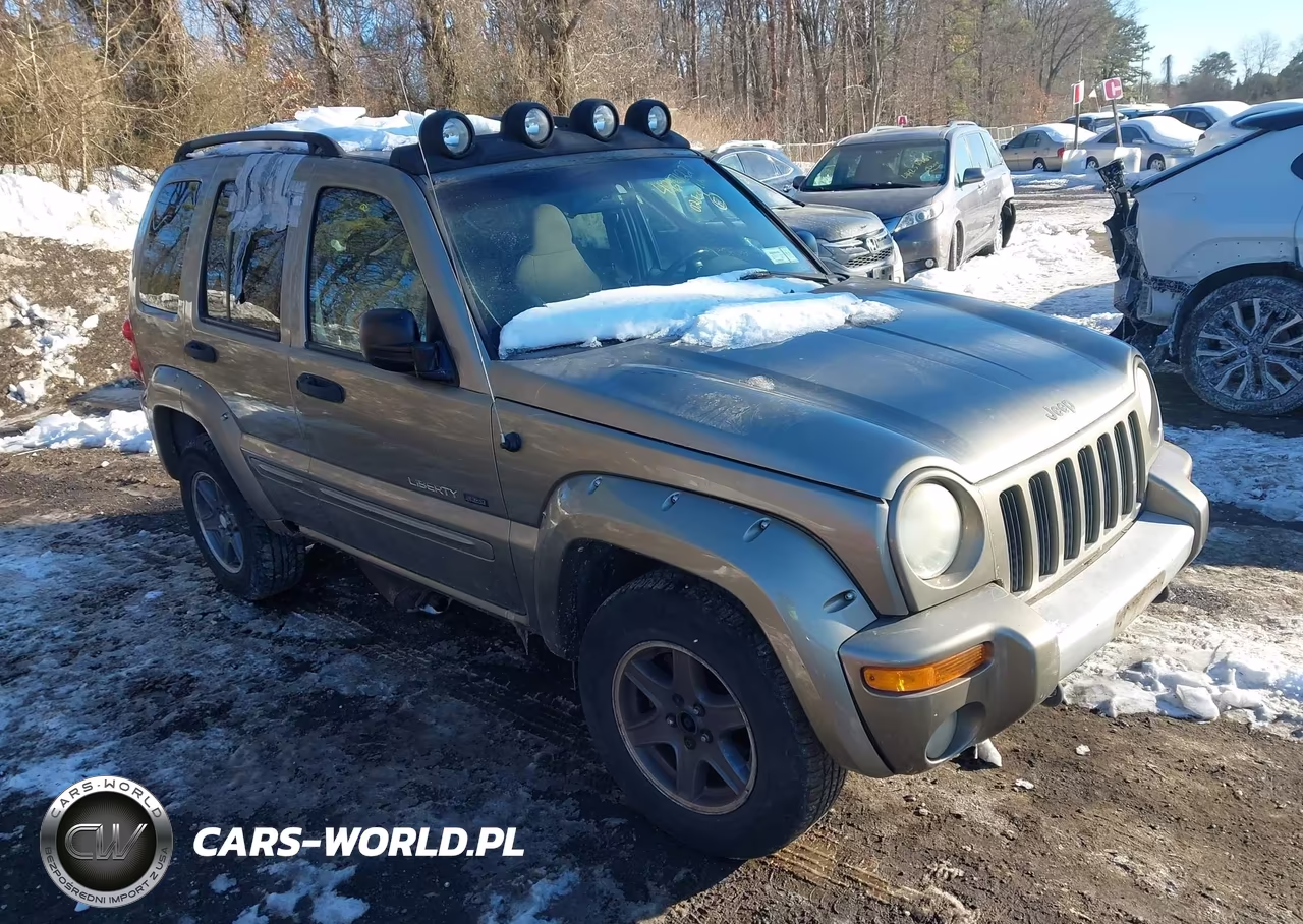 2002 Jeep Liberty Renegade