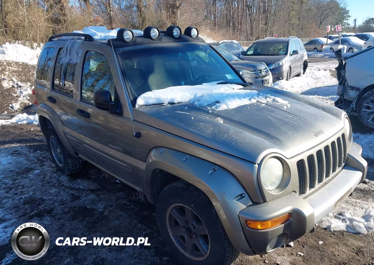 2002 Jeep Liberty Renegade VIN:1J4GL38K42W366714 - 6