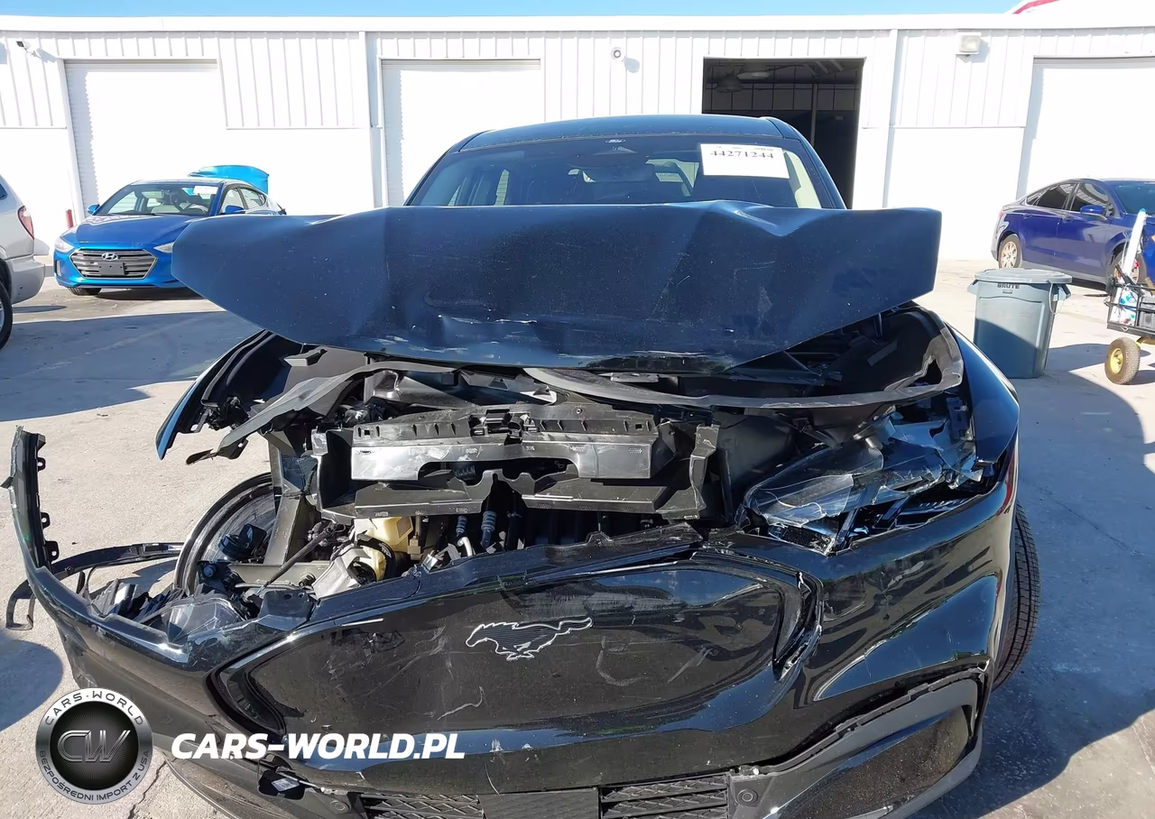 2025 Ford Mustang Mach-E Premium VIN:3FMTK3SU0SMA11021 - 13