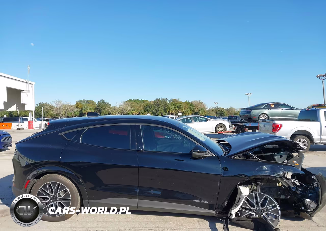 2025 Ford Mustang Mach-E Premium VIN:3FMTK3SU0SMA11021 - 14