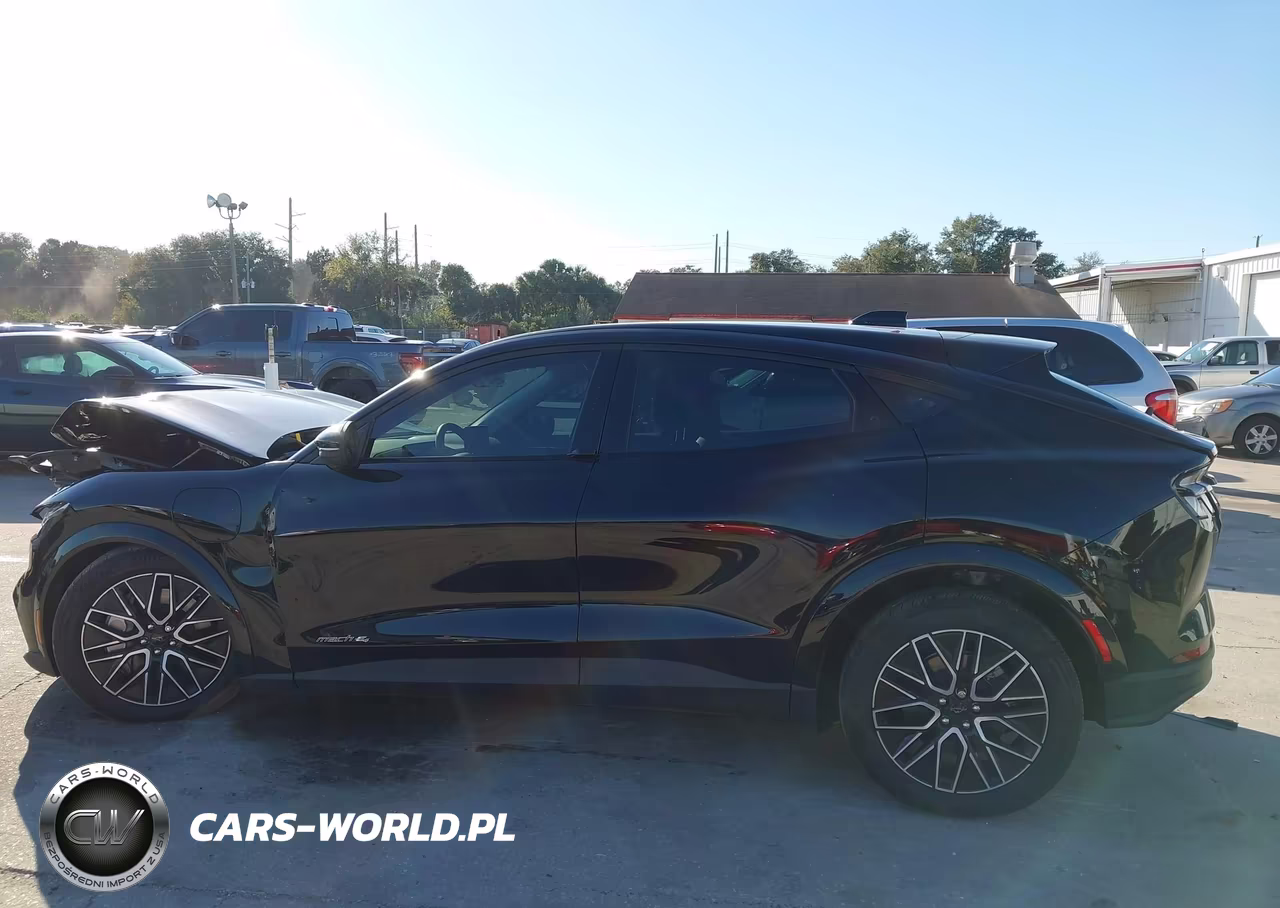 2025 Ford Mustang Mach-E Premium VIN:3FMTK3SU0SMA11021 - 15